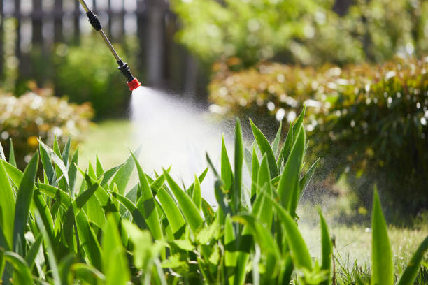 24/7 Emergency Ant Control experts in Logan, UT